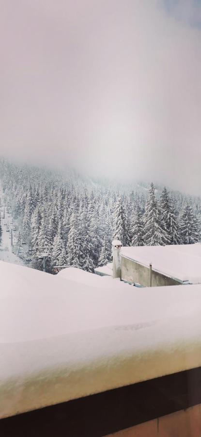 Apartments Black Horse Pamporovo Buitenkant foto